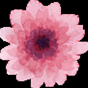 Meet your Posher, Shelly